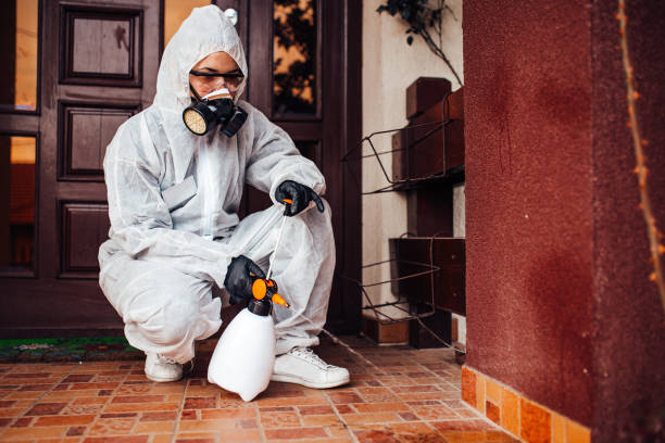 Reliable Wasp Removal contractor in Waldport, OR by Show Me Pest Control